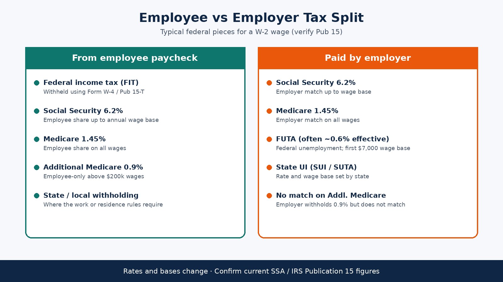 Diagram of employee paycheck withholdings versus employer payroll tax shares